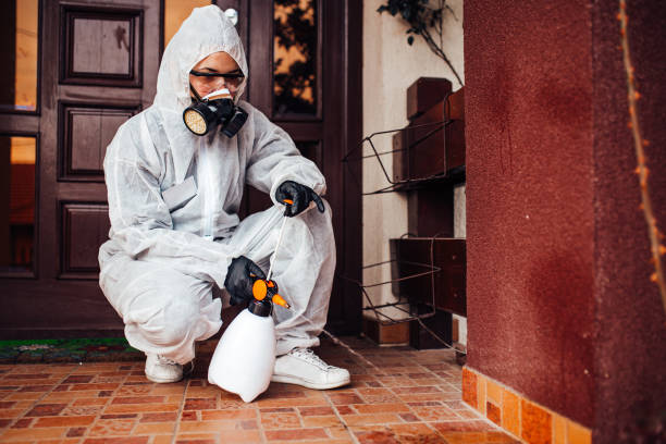 Attic and Crawl Space Rodent Treatment in Montague